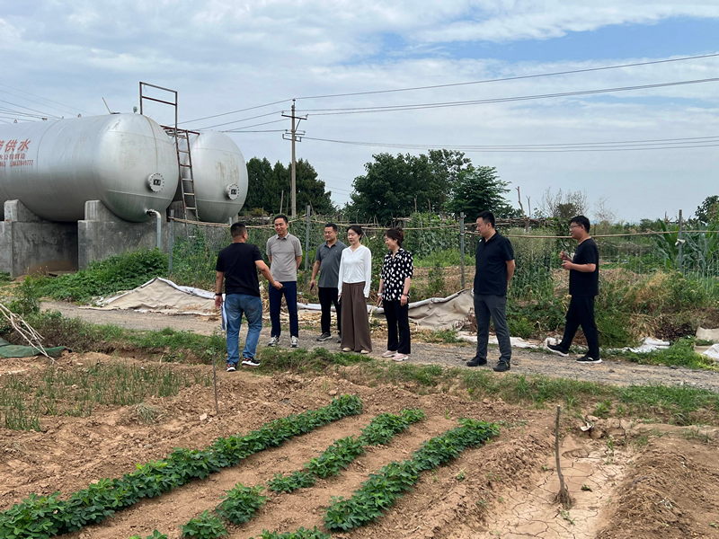 1979582018049933312.jpg 081810573ybp.jpg